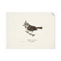 Picture of Parus _GroupedProduct_Rectangle_Landscape_Unframed_Print_Only_