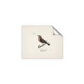 Picture of Wood Lark Bird _GroupedProduct_Rectangle_Landscape_Unframed_Print_Only_