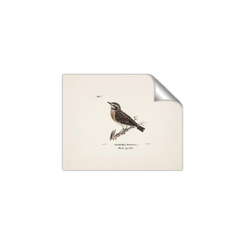 Picture of Wood Lark Bird _GroupedProduct_Rectangle_Landscape_Unframed_Print_Only_