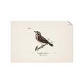 Picture of Wood Lark Bird _GroupedProduct_Rectangle_Landscape_Unframed_Print_Only_