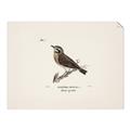 Picture of Wood Lark Bird _GroupedProduct_Rectangle_Landscape_Unframed_Print_Only_