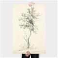 Picture of Tall Tree II _GroupedProduct_Rectangle_Portrait_Canvas_