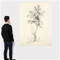 Picture of Tall Tree II _GroupedProduct_Rectangle_Portrait_Canvas_