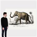 Picture of Indian Elephant _GroupedProduct_Rectangle_Landscape_Canvas_