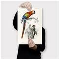 Picture of Feathered Friends _GroupedProduct_Rectangle_Portrait_Canvas_