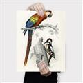 Picture of Feathered Friends _GroupedProduct_Rectangle_Portrait_Canvas_