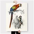 Picture of Feathered Friends _GroupedProduct_Rectangle_Portrait_Canvas_