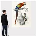 Picture of Feathered Friends _GroupedProduct_Rectangle_Portrait_Canvas_