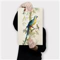 Picture of Five Birds _GroupedProduct_Rectangle_Portrait_Canvas_