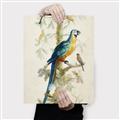 Picture of Five Birds _GroupedProduct_Rectangle_Portrait_Canvas_