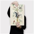 Picture of Six Birds _GroupedProduct_Rectangle_Portrait_Canvas_