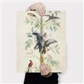 Picture of Six Birds _GroupedProduct_Rectangle_Portrait_Canvas_