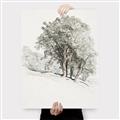 Picture of Trees on a Hill _GroupedProduct_Rectangle_Portrait_Canvas_