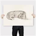 Picture of Tiger Time _GroupedProduct_Rectangle_Landscape_Canvas_