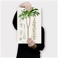 Picture of Palm Botanical _GroupedProduct_Rectangle_Portrait_Canvas_