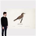 Picture of Turdus _GroupedProduct_Rectangle_Landscape_Canvas_