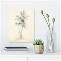 Picture of Tall Tree II _GroupedProduct_Rectangle_Portrait_Canvas_
