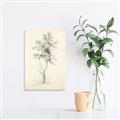 Picture of Tall Tree II _GroupedProduct_Rectangle_Portrait_Canvas_