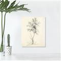 Picture of Tall Tree II _GroupedProduct_Rectangle_Portrait_Canvas_