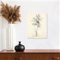 Picture of Tall Tree II _GroupedProduct_Rectangle_Portrait_Canvas_