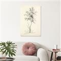 Picture of Tall Tree II _GroupedProduct_Rectangle_Portrait_Canvas_