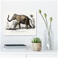 Picture of Indian Elephant _GroupedProduct_Rectangle_Landscape_Canvas_