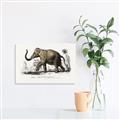 Picture of Indian Elephant _GroupedProduct_Rectangle_Landscape_Canvas_