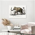 Picture of Indian Elephant _GroupedProduct_Rectangle_Landscape_Canvas_