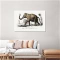 Picture of Indian Elephant _GroupedProduct_Rectangle_Landscape_Canvas_