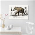 Picture of Indian Elephant _GroupedProduct_Rectangle_Landscape_Canvas_