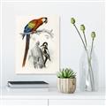 Picture of Feathered Friends _GroupedProduct_Rectangle_Portrait_Canvas_