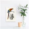 Picture of Feathered Friends _GroupedProduct_Rectangle_Portrait_Canvas_