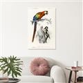 Picture of Feathered Friends _GroupedProduct_Rectangle_Portrait_Canvas_