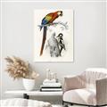 Picture of Feathered Friends _GroupedProduct_Rectangle_Portrait_Canvas_