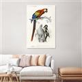 Picture of Feathered Friends _GroupedProduct_Rectangle_Portrait_Canvas_
