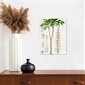 Picture of Palm Botanical _GroupedProduct_Rectangle_Portrait_Canvas_