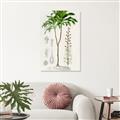 Picture of Palm Botanical _GroupedProduct_Rectangle_Portrait_Canvas_
