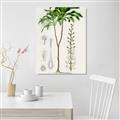 Picture of Palm Botanical _GroupedProduct_Rectangle_Portrait_Canvas_