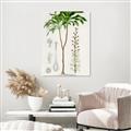 Picture of Palm Botanical _GroupedProduct_Rectangle_Portrait_Canvas_