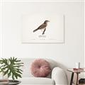 Picture of Turdus _GroupedProduct_Rectangle_Landscape_Canvas_
