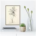 Picture of Tall Tree II _GroupedProduct_Rectangle_Portrait_Canvas_Framed_