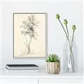 Picture of Tall Tree II _GroupedProduct_Rectangle_Portrait_Canvas_Framed_