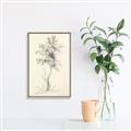 Picture of Tall Tree II _GroupedProduct_Rectangle_Portrait_Canvas_Framed_