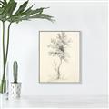 Picture of Tall Tree II _GroupedProduct_Rectangle_Portrait_Canvas_Framed_