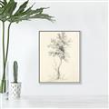 Picture of Tall Tree II _GroupedProduct_Rectangle_Portrait_Canvas_Framed_