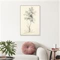 Picture of Tall Tree II _GroupedProduct_Rectangle_Portrait_Canvas_Framed_