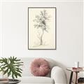 Picture of Tall Tree II _GroupedProduct_Rectangle_Portrait_Canvas_Framed_