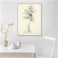 Picture of Tall Tree II _GroupedProduct_Rectangle_Portrait_Canvas_Framed_
