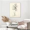 Picture of Tall Tree II _GroupedProduct_Rectangle_Portrait_Canvas_Framed_