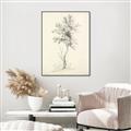 Picture of Tall Tree II _GroupedProduct_Rectangle_Portrait_Canvas_Framed_